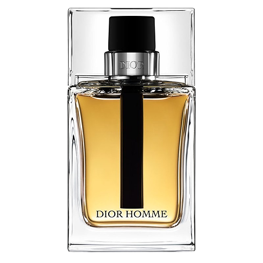 Christian Dior Homme Eau de Parfum 100ml (Tester)