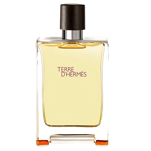 Hermès - Terre d' Hermes Eau de Toilette 100ml