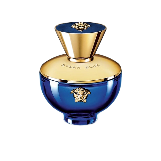 Versace Dylan Blue Pour Femme Parfum 100ml (Tester)